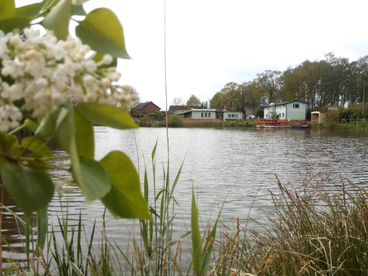 Agroturystyka Nad Morzem Zieleniewo  Eksteriør bilde